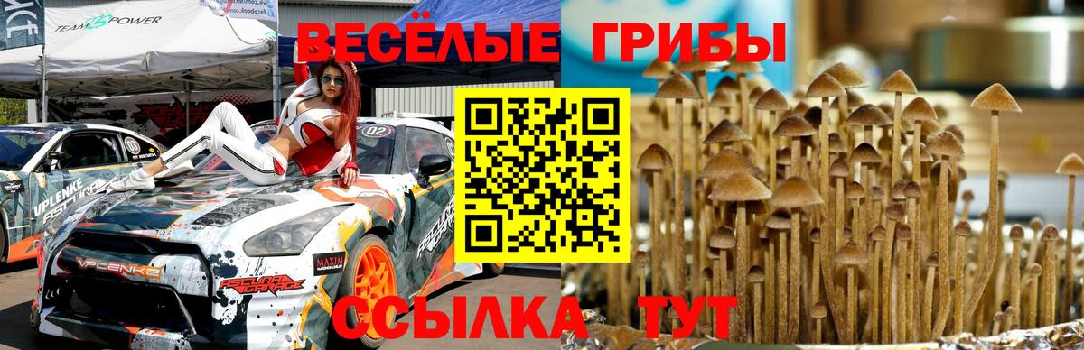 Борзя  Галлюциногенные грибы MAGIC MUSHROOMS  Вход с VPN 